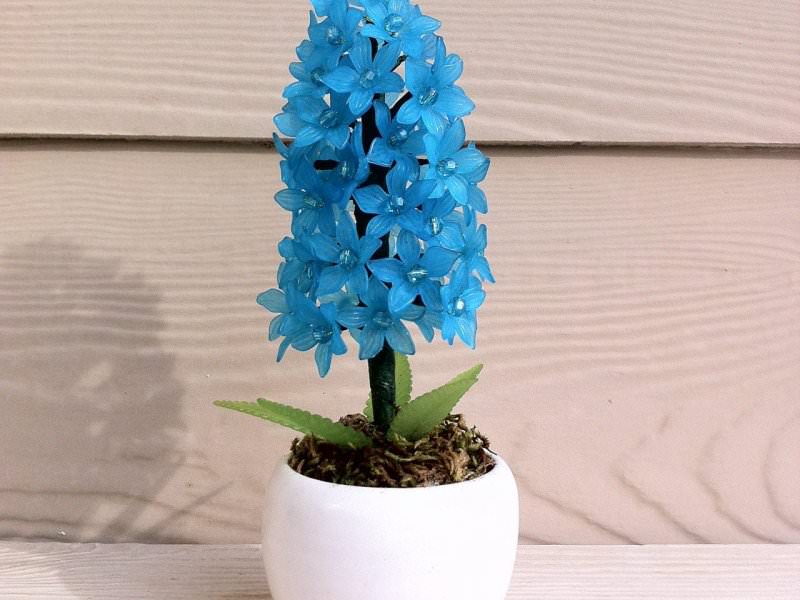 گل سنبل آبی