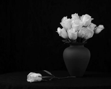گل سیاه سفید