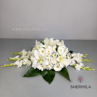 گل رومیزی ژانیتا