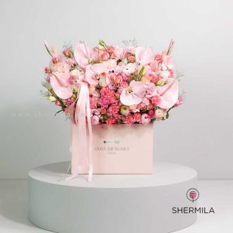 باکس گل دنیز