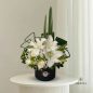 sania-flower-box-1
