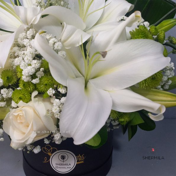 sania-flower-box-2