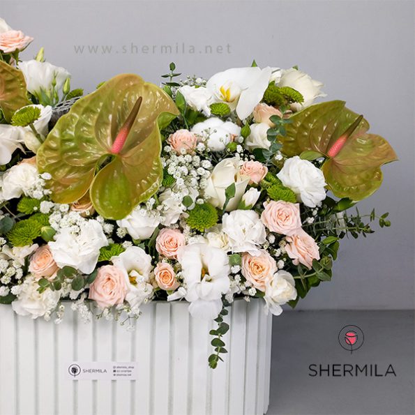 helia-flower-box-2