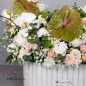 helia-flower-box-1