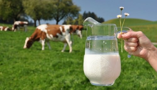 شیر مفید برای گیاهان