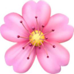 نماد گل اطلسی
