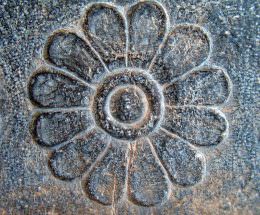 نماد گل لوپن چیست
