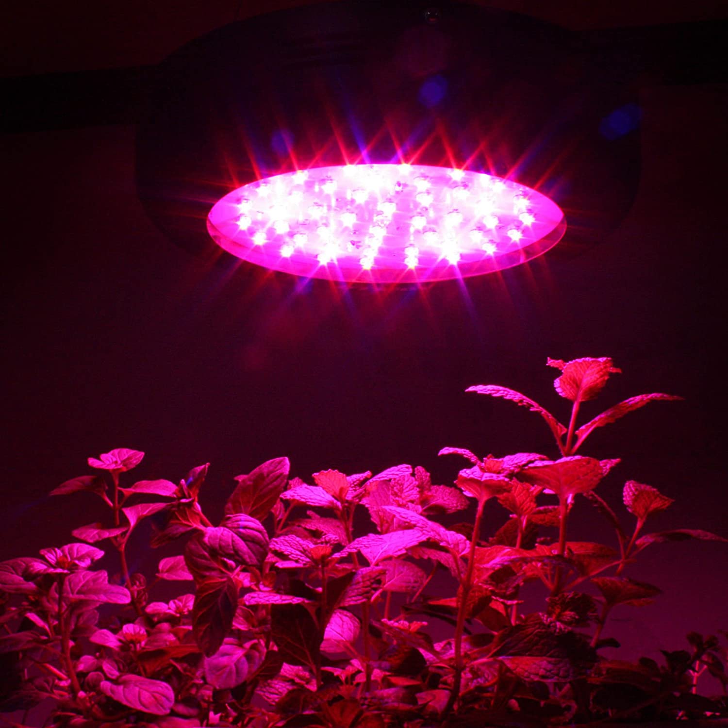 نور مصنویی برای گیاهان