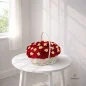 Tahmineh-flower-basket