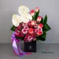 maral-flower-box-1