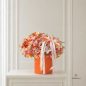 Ronia-flower-box-new-1
