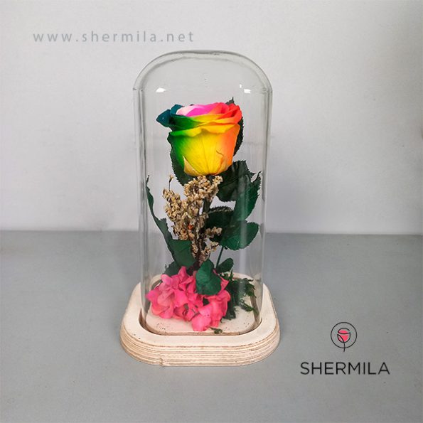 lia-flower-external-1