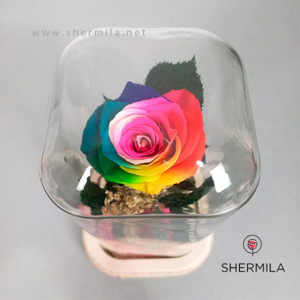 lia-flower-external-2