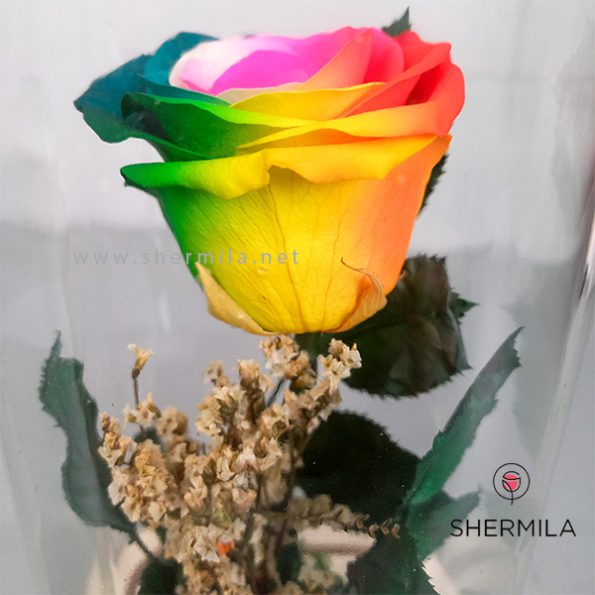 lia-flower-external-3