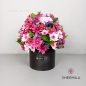 ronia-flower-box-1