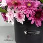 ronia-flower-box-1