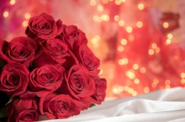 چرا گل رز نماد عشق است