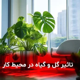 تاثیر گل و گیاه در محیط کار