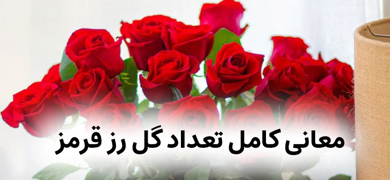 معنی گل رز قرمز