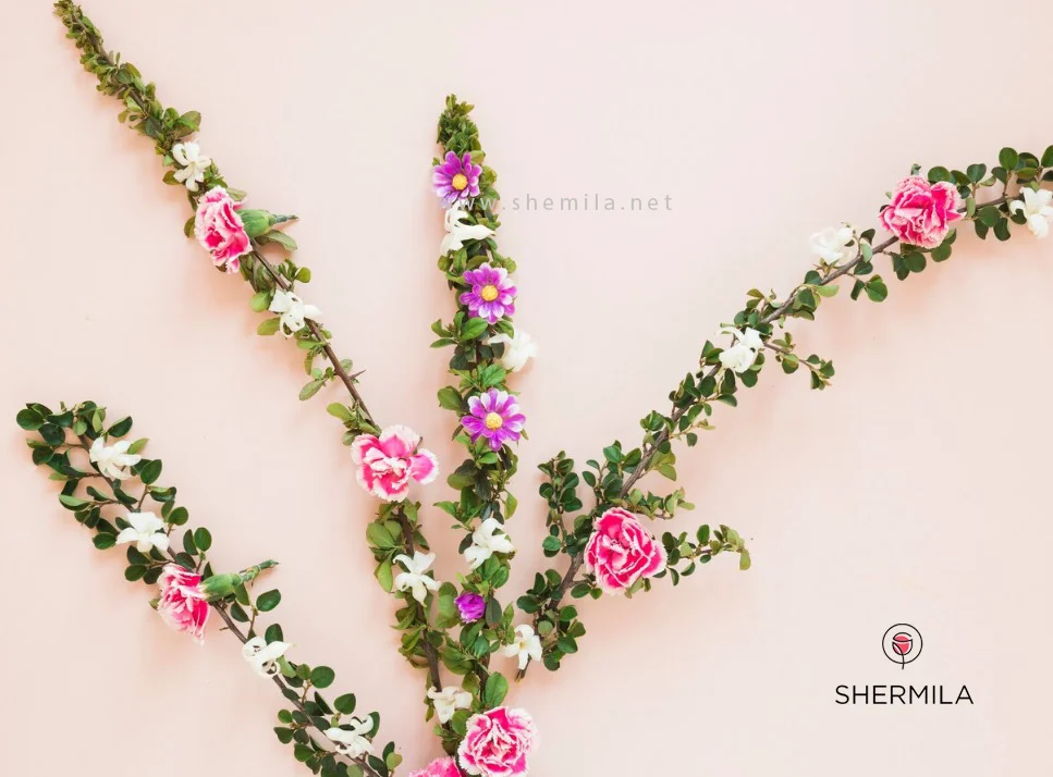 زیباترین گیاهان رونده