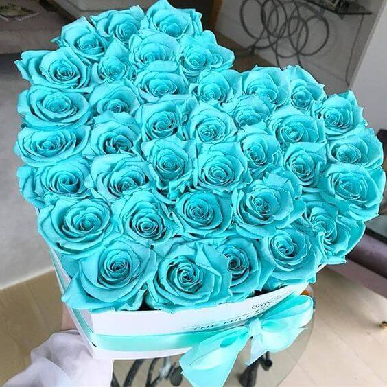 باکس گل رز آبی چشمنواز
