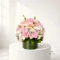 Elsa-flower-box