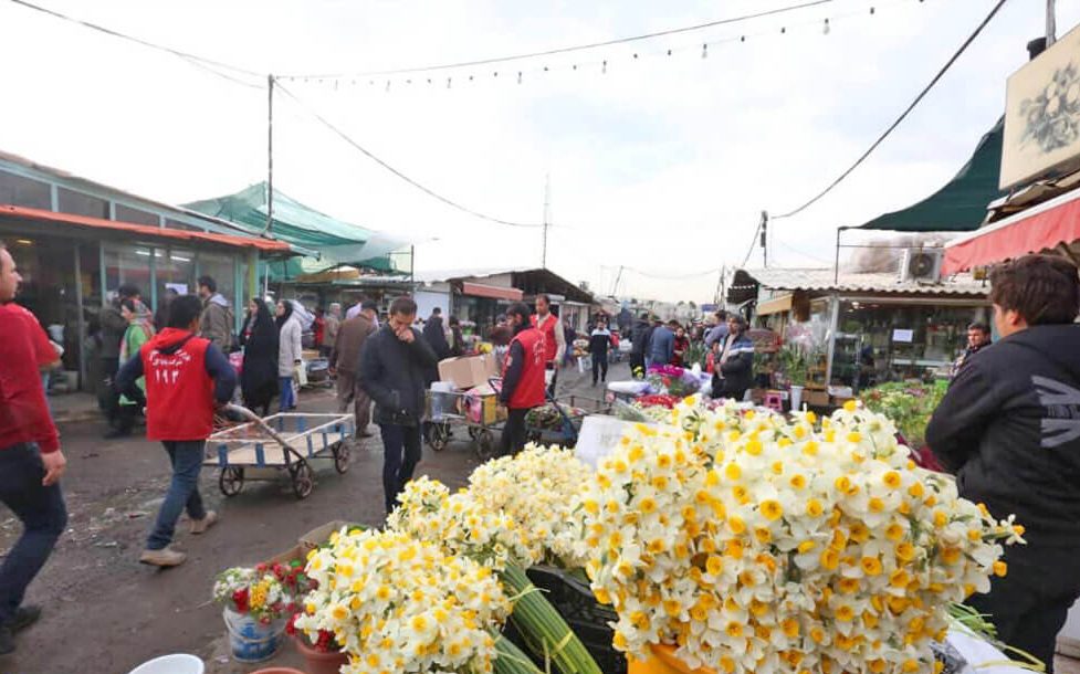 گل نرگس در بازار گل محلاتی
