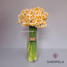 باکس شیشه ای نرگس