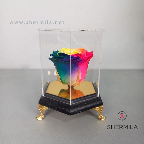 Akva-flower-etrnal-rose-1