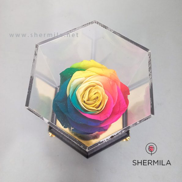 Akva-flower-etrnal-rose-2