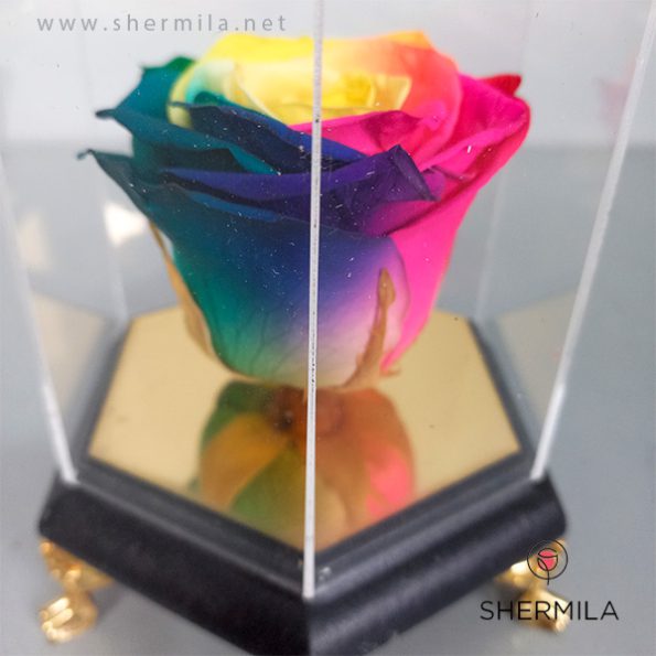 Akva-flower-etrnal-rose-3