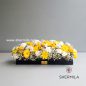 bakhsha-flower-box-1