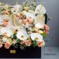 venus-flower-box-1