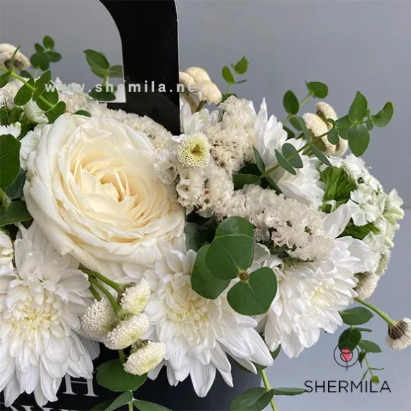 golnoosh-flower-box-2