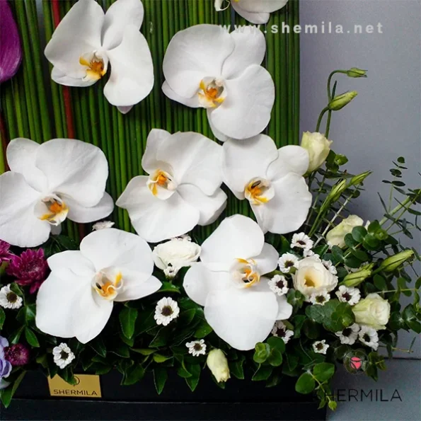 mahya-flower-box-2