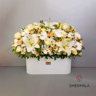 باکس گل نیلیا