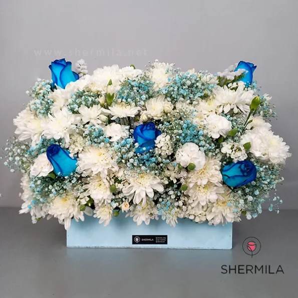 raadmehr-floer-box-1