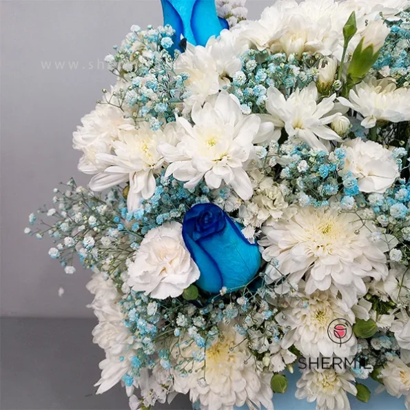 raadmehr-floer-box-2