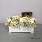 dorna-flower-box-1