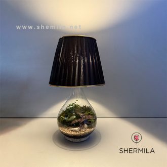 تراریوم مدل روژیا