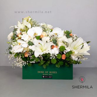 باکس گل آریو