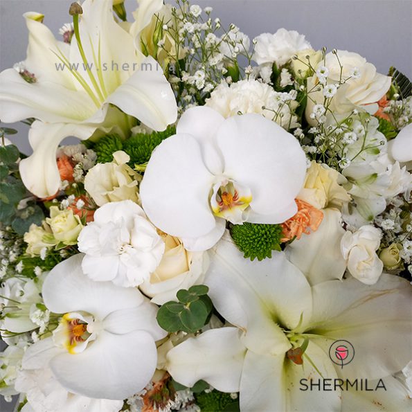 ario-flower-box-3-new