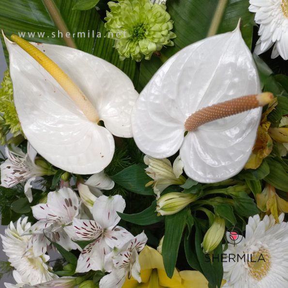 ershad-flower-stand-2