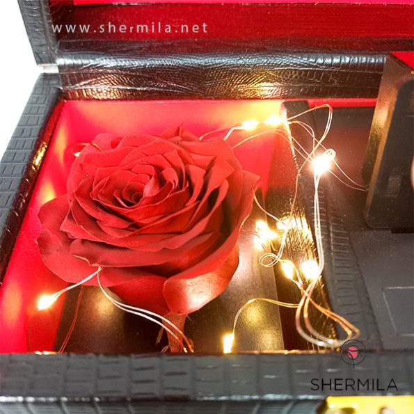 niyak-eterbal-rose-2