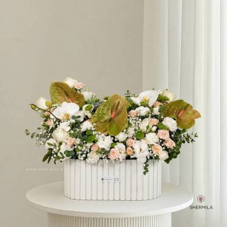 باکس گل هلیا