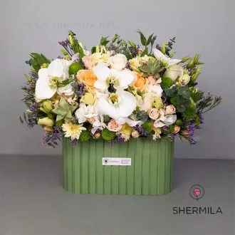 باکس گل فریزاد