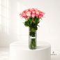 Lizan-flower-box-new