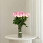 Sevin-flower-box-new
