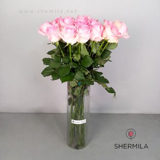 باکس گل سوین