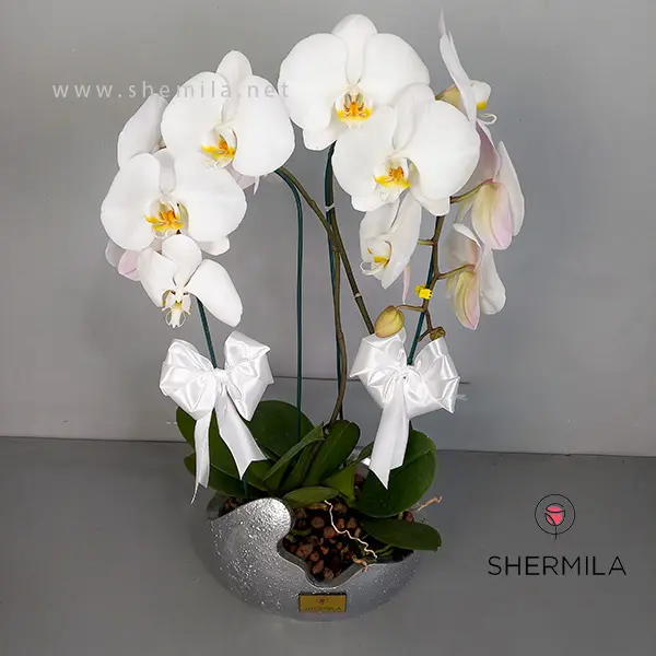 گلدان روز معلم